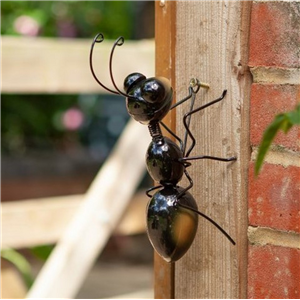 Large Decor Ant